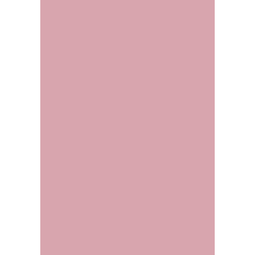 3015 Легкий розовый (RAL)