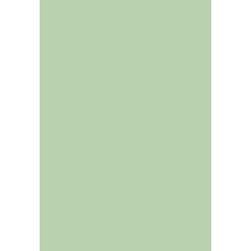 6019 Зеленая пастель (RAL)