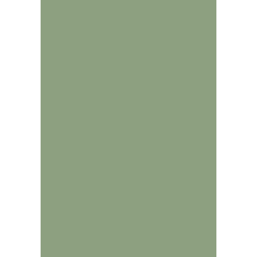 6021 Бледно- зеленый (RAL)