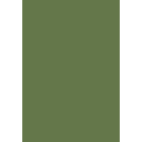 6025 Зеленый папоротник (RAL)