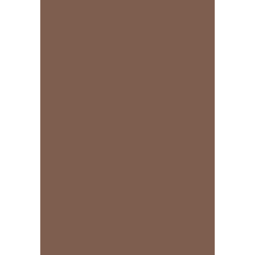 8024 Бежево-коричневый (RAL)