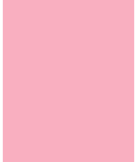 Buy  6 category  pink gloss в ZGODA
